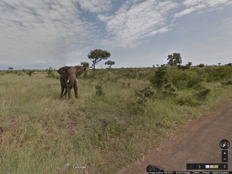 Google Street View, Güney Afrika’nın Doğa Harikalarını Yayınlıyor