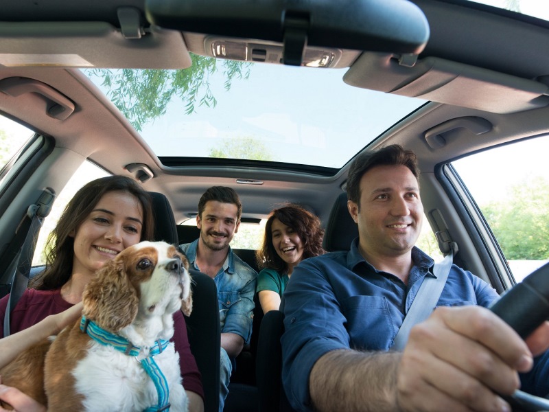 BlaBlaCar, Evcil Hayvanlarınızla Yolculuk Yapmayı Sağlıyor.