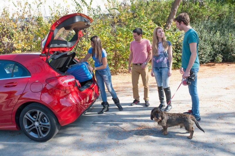 Evcil_Hayvanla_Yolculuk_2