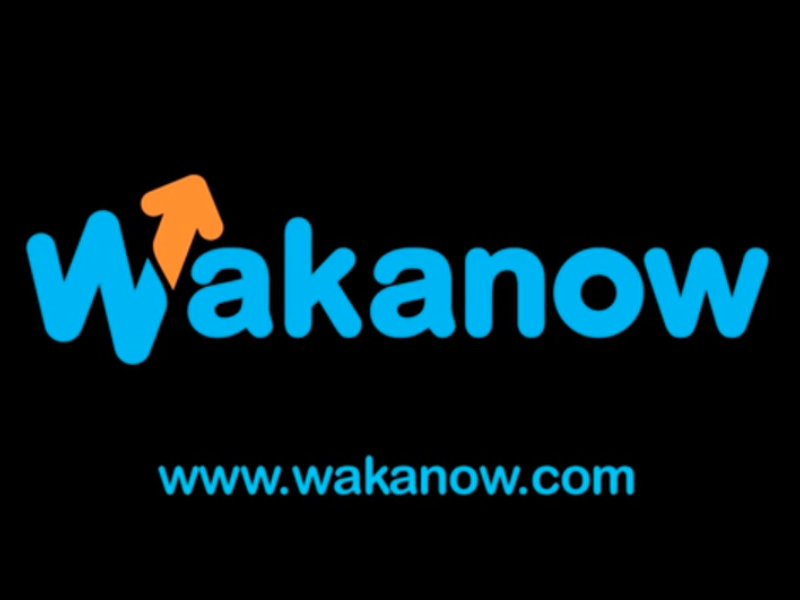 Afrikalı Online Seyahat Acentesi Wakanow, Birleşik Krallığı 6. Pazarı Yapıyor