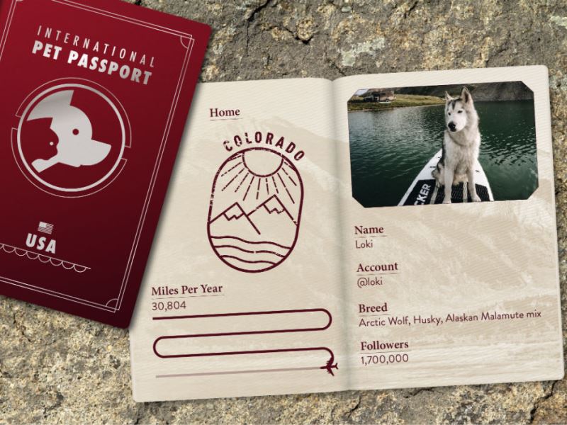 Seyahat Dostu Evcil Hayvan Pasaportları