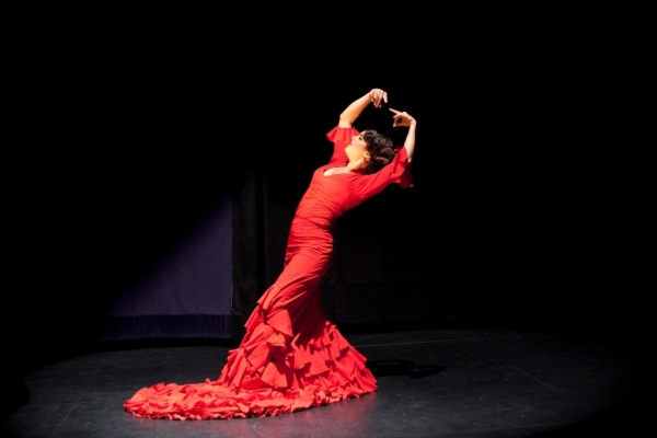 flamenco_231