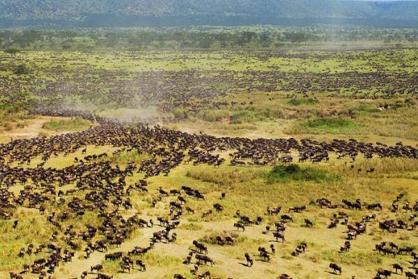Şebnem Denktaş’tan Safarinin 10 Kuralı